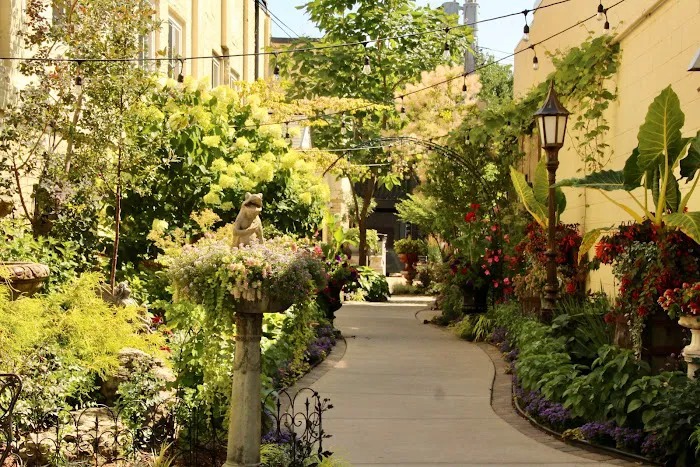 Downtown White Bear Lake 1