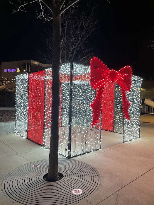 Eagan Magic of Lights 5
