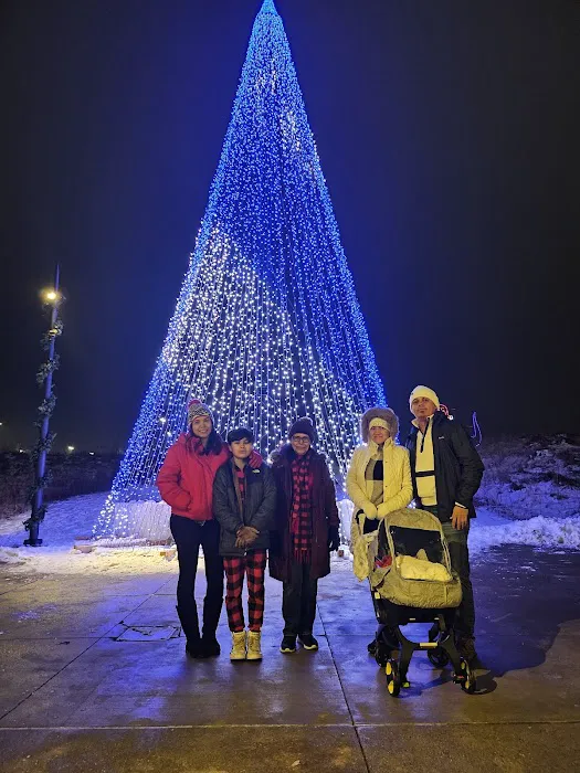 Eagan Magic of Lights 4