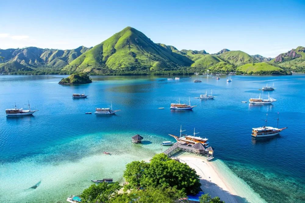 Luxury Yacht Charters for Nature Lovers Exploring Indonesia’s Wildlife