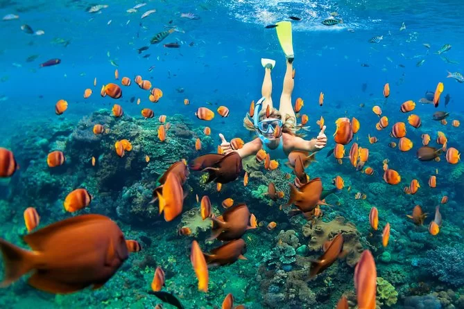 Best Boat Tours for Snorkeling in Bali: Explore the Underwater Wonders