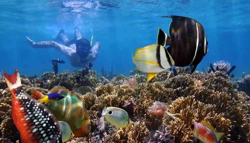 Best Diving Spots Accessible by Boat in Bali: Explore Bali’s Underwater Paradise