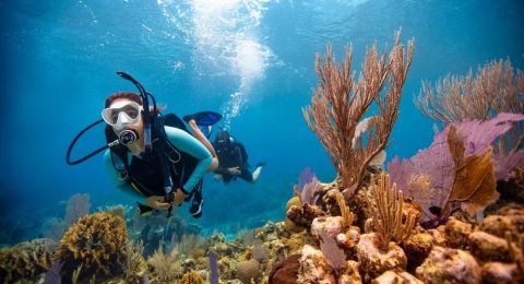 Discover the Top Diving Spots Around Raja Ampat for an Unforgettable Underwater Adventure