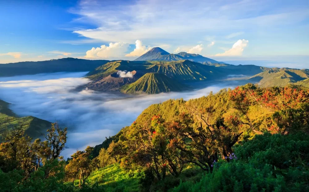 Top Experiences in Java, Indonesia: Unveil the Best Things to Do
