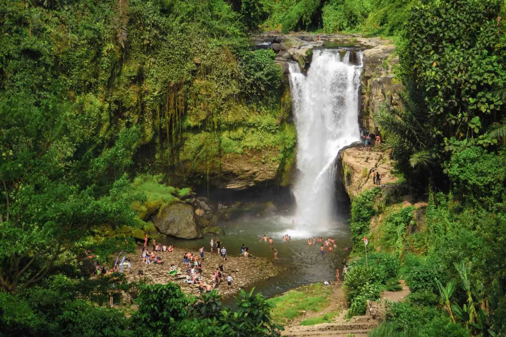 Top Waterfalls in Bali to Visit: A Guide to Bali's Best Waterfalls