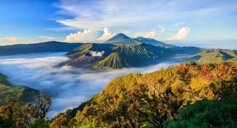 Things to Do in Surabaya, Indonesia: Explore Top Attractions and Hidden Gems