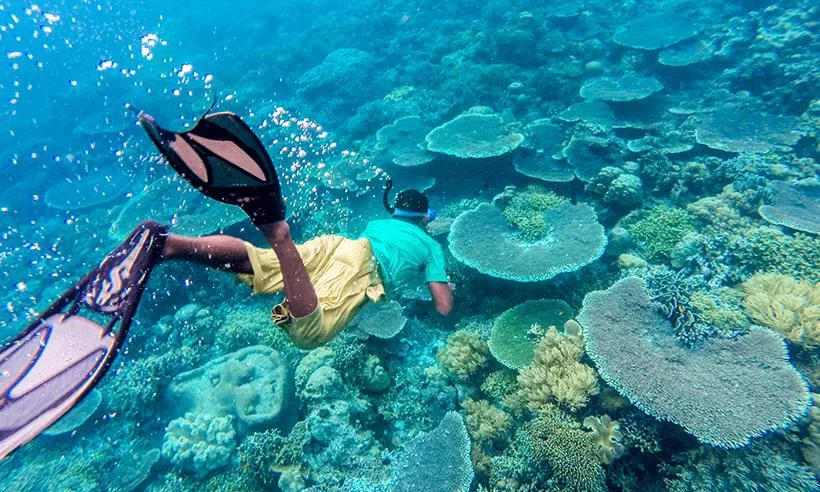 Best Islands to Visit in Indonesia for Snorkeling: Discover Top Snorkeling Destinations