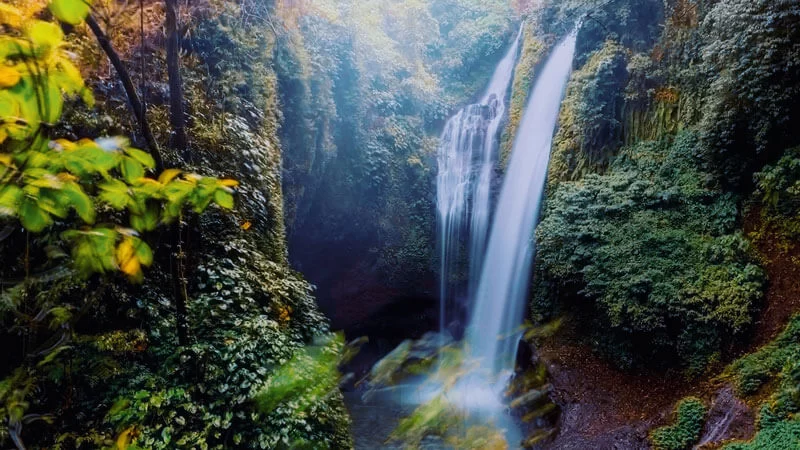 Discover the Best Nature Reserves in Bali