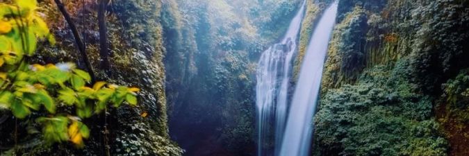 Discover the Best Nature Reserves in Bali