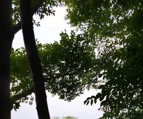 Gili trawangan camping grounds