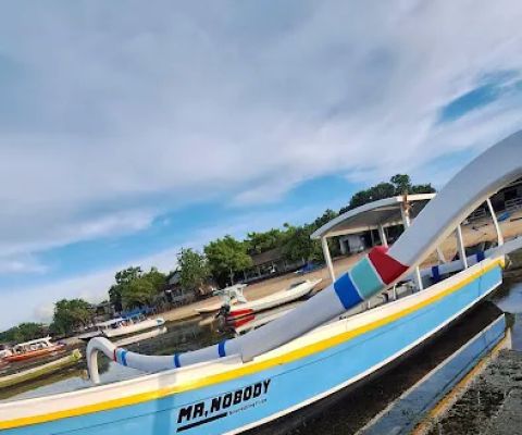 Mr,Nobody Snorkling trips