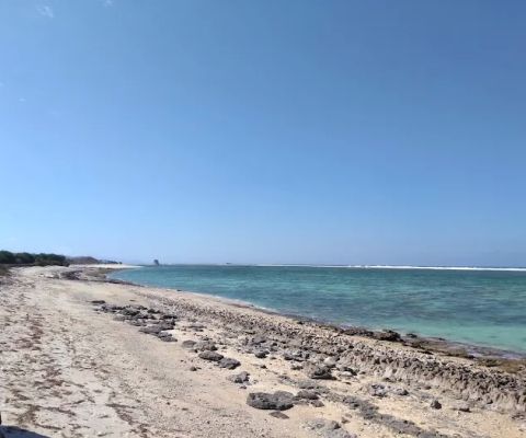 Turtle Beach