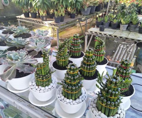 SANDAT BALI GARDEN