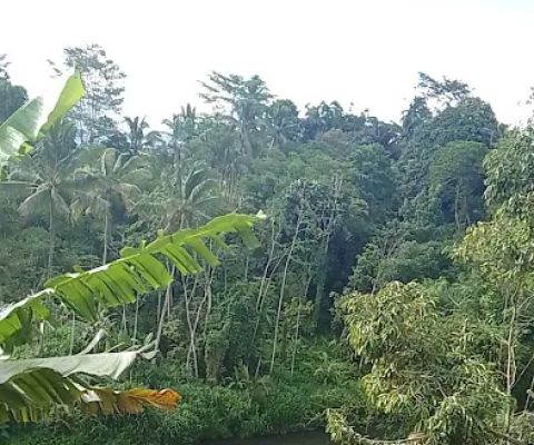 Bendungan Desa Adat Bunyuh