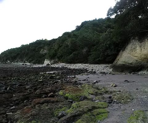 Pantai So_To'i