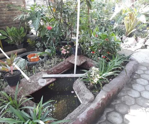 Adena Nursery