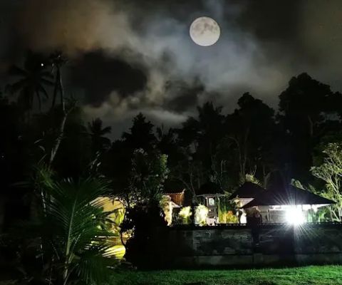 Adnyana Park