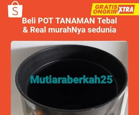 Mutiaraberkah25