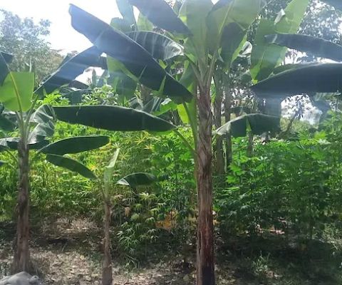 Nomaden Farm