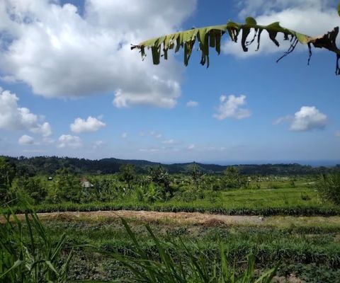 TIRTA GANGGA RICE TREKKING