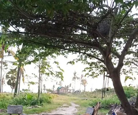 ENJUNG BATU BARAK