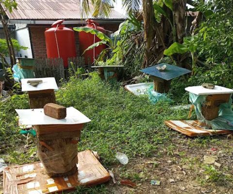 Rumah Ridwan