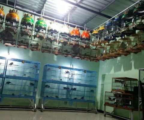 NOFA BIRD FARM