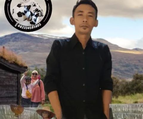 KRANGKENGAN RABBIT BREEDER