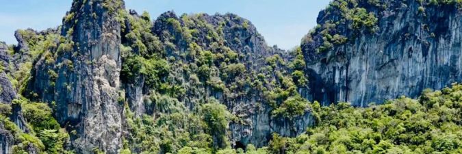 Explore Luxury Yacht Reefs in Raja Ampat for an Unforgettable Marine Adventure