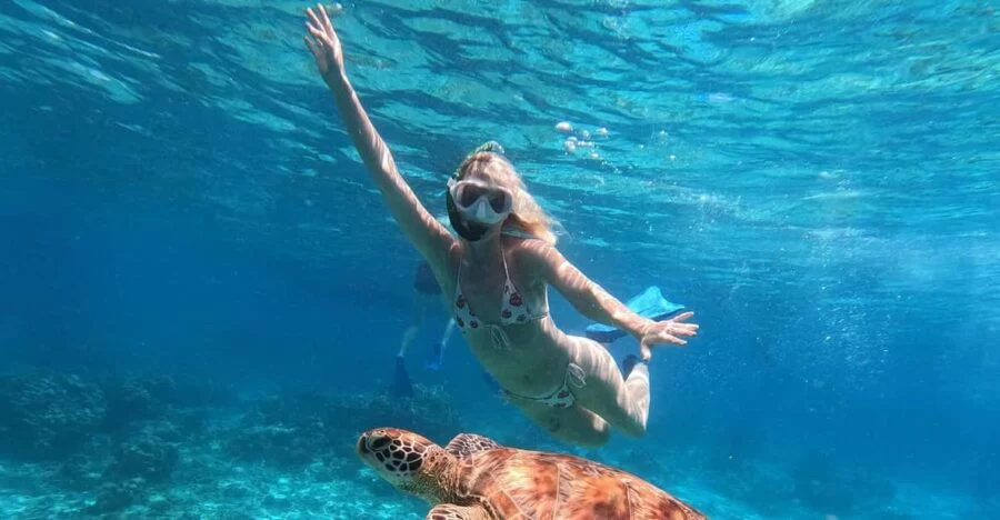 Experience Exclusive Private Yacht Sea Turtle Tours in Indonesia for an Unforgettable Adventure