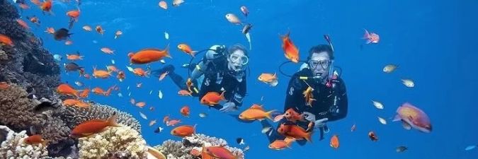 Explore Vibrant Coral Reefs on Private Yacht Coral Reef Exploration Trips