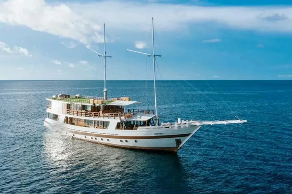 Explore Private Yacht Reef Diving Experiences in Indonesia’s Pristine Waters