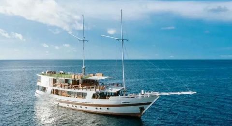 Explore Private Yacht Reef Diving Experiences in Indonesia’s Pristine Waters
