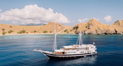 Experience Ultimate Luxury Yacht Shark Diving Adventures in Indonesia