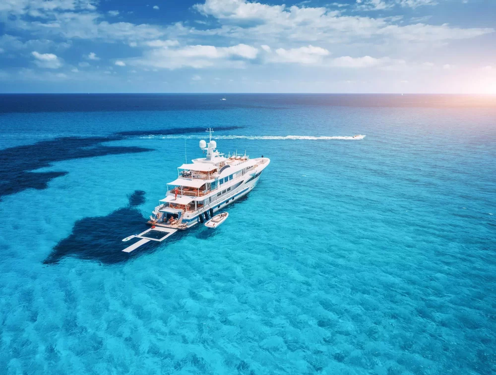 Private Yacht Charter for Wildlife Photographers: The Ultimate Experience for Nature Enthusiasts