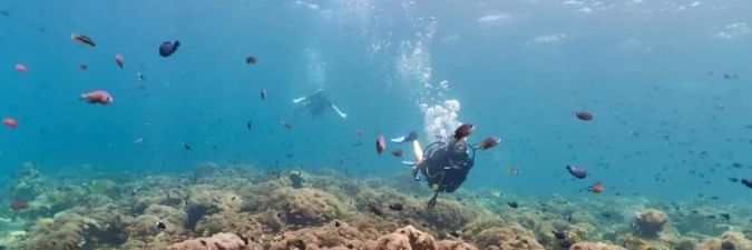 Exploring Private Yacht Coral Garden Diving Experiences: Ultimate Guide for Enthusiasts