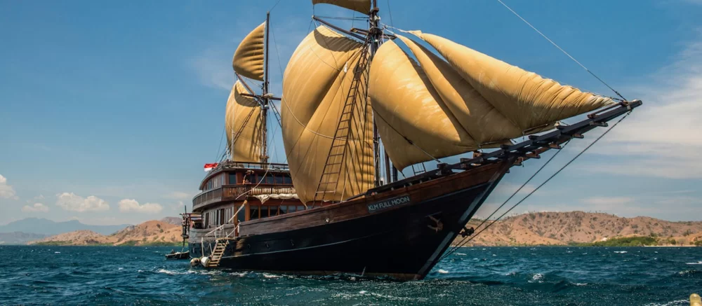 Luxury Yacht Birding Indonesia: Exclusive Cruises for the Ultimate Bird Watching Experience