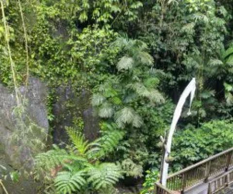 Rangkan river natural tourism