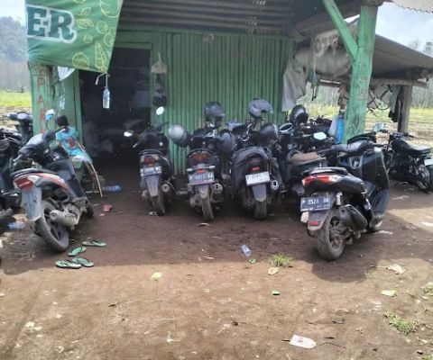Lahan semangka bpk as