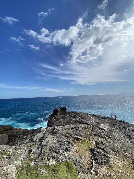 Kevisato Viewpoint 2