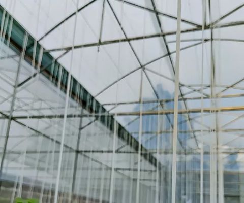 Green House Tanjoeng Farm