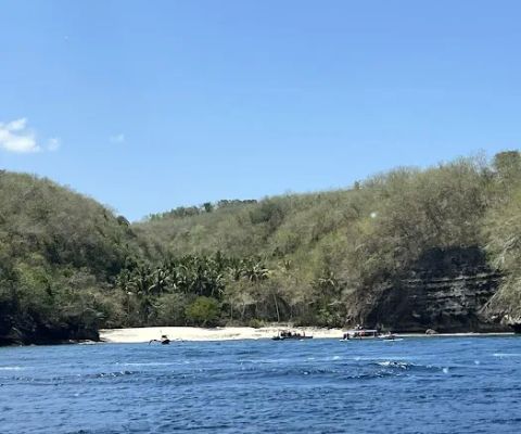 Manta Bay