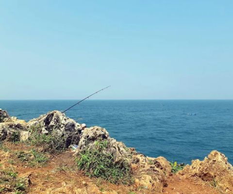 Wagah Rock Fishing
