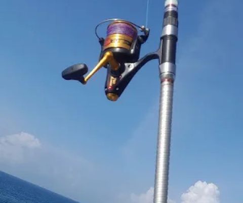 Mbanteng 2 Rock Fishing