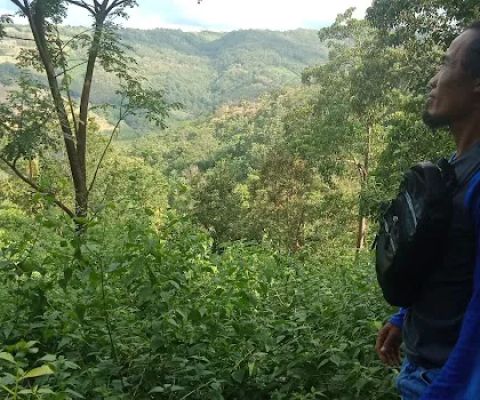 Lahan Baru Kelungkung Sumbawa NTB