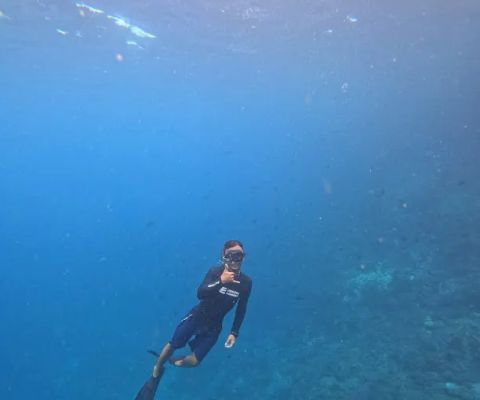 Daily manta trip