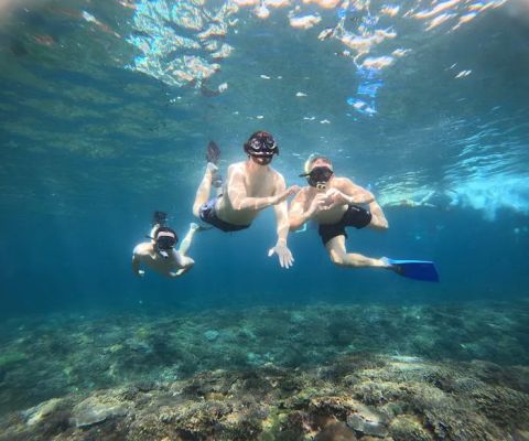 Dhina snorkling