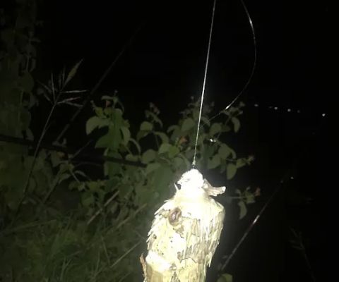 Spot Mancing rock fishing guo lowo