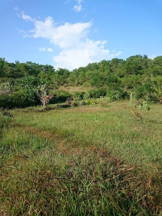Ridhok View & Campground 2