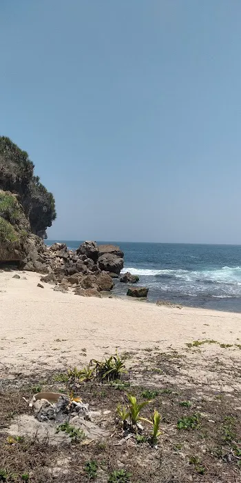 Ridhok View & Campground 1